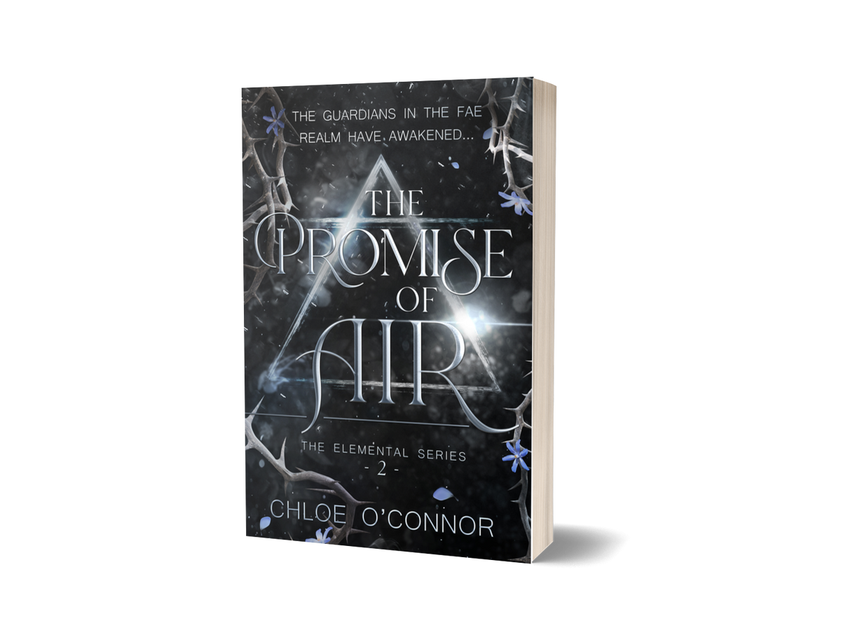 The Promise of Air — Paperback