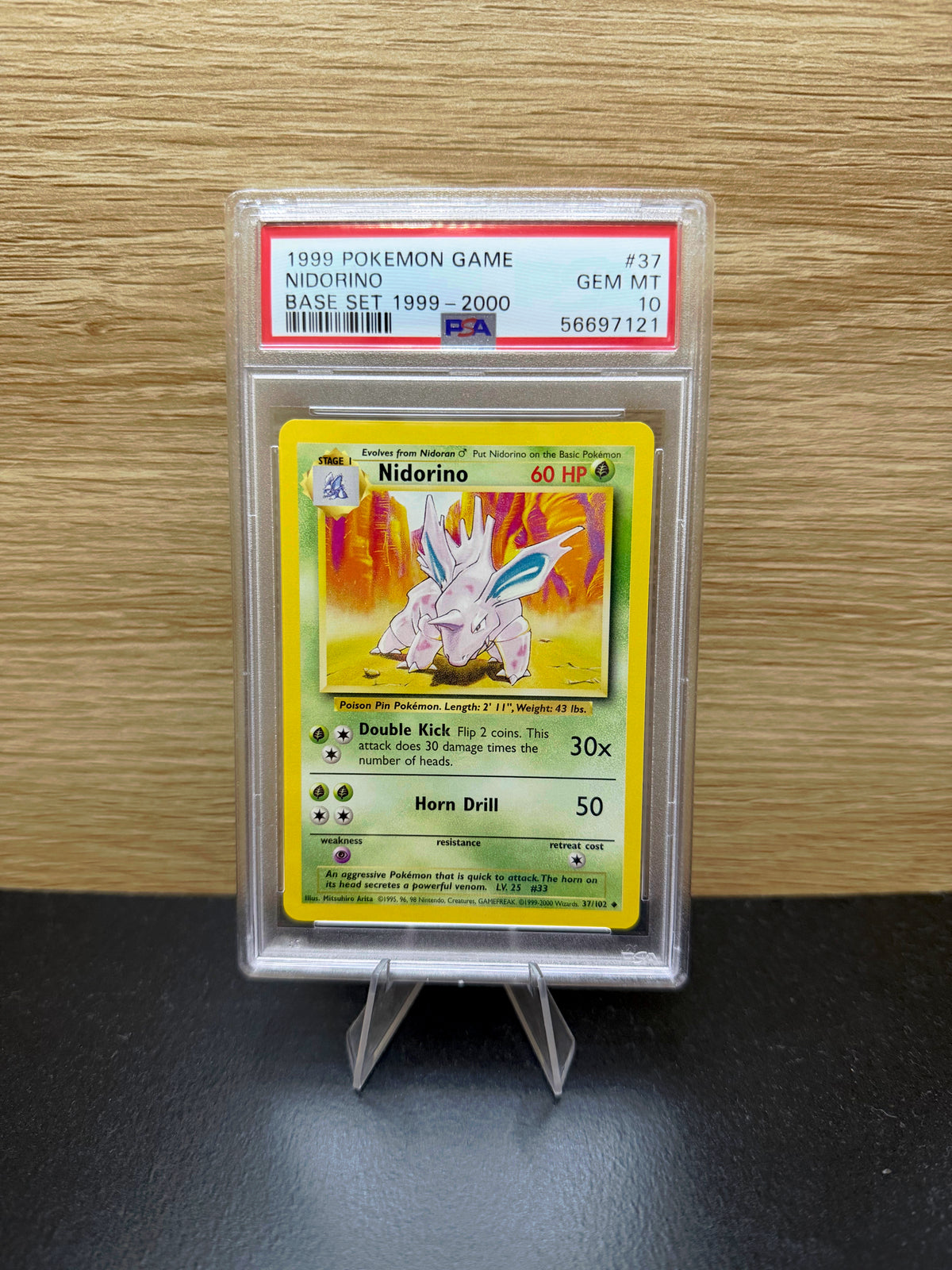 Nidorino Base Set 1999–2000 #37 in PSA 10 slab