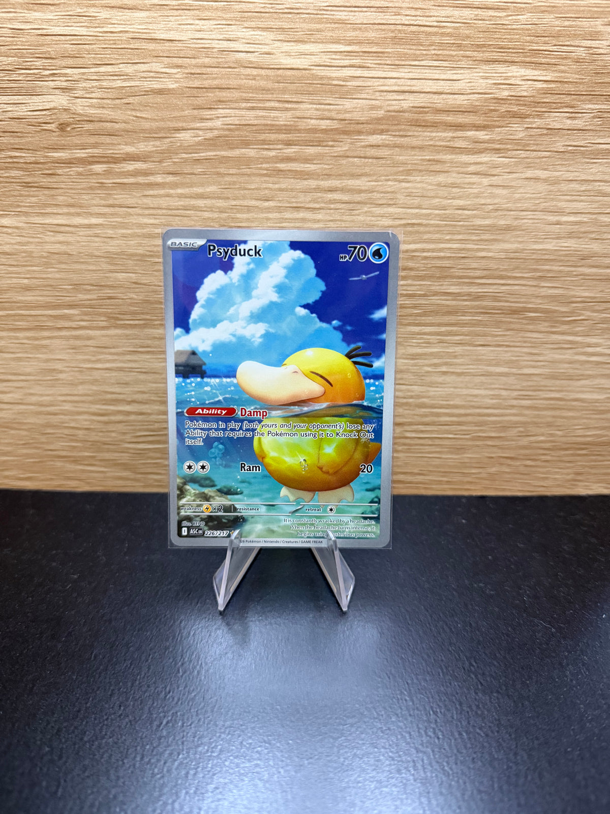 English Psyduck Pokémon card displayed on a stand