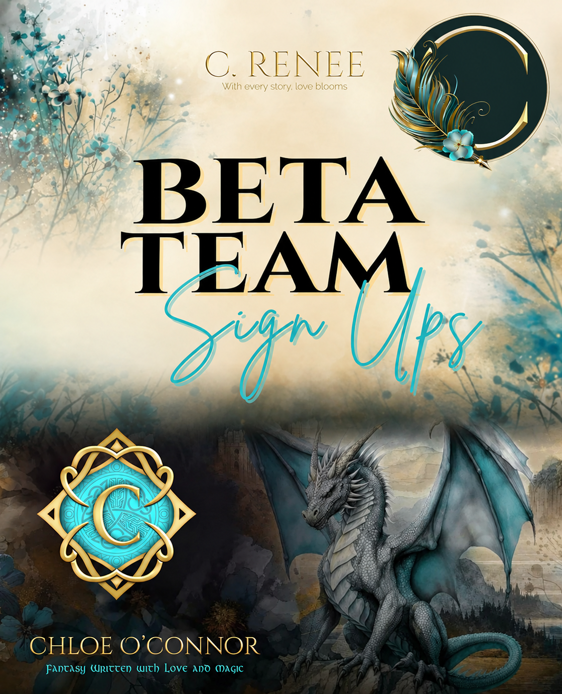 Beta Team