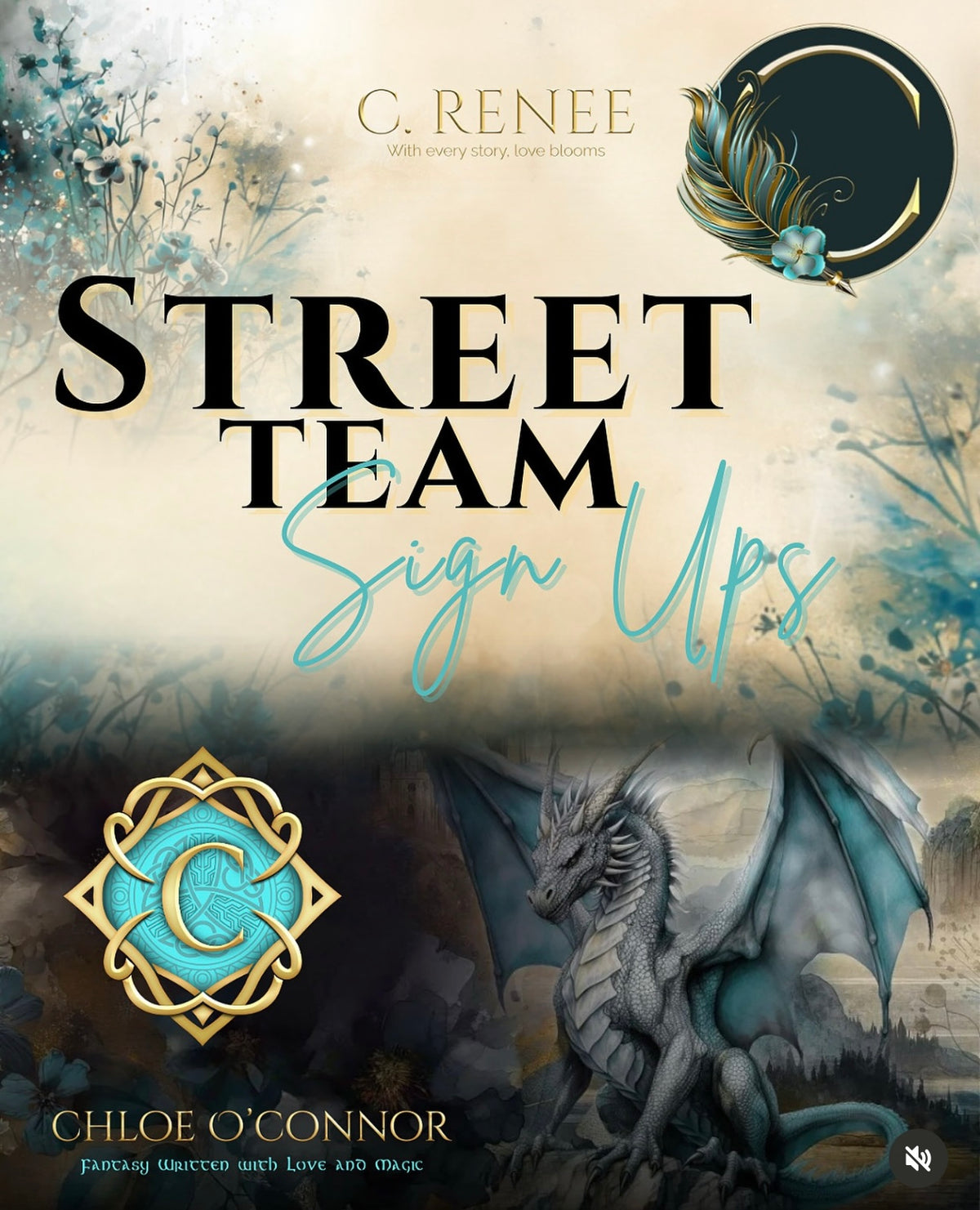 Street Team